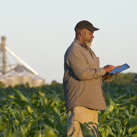 softwares para agricultura