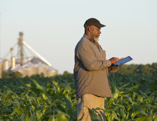 softwares para agricultura