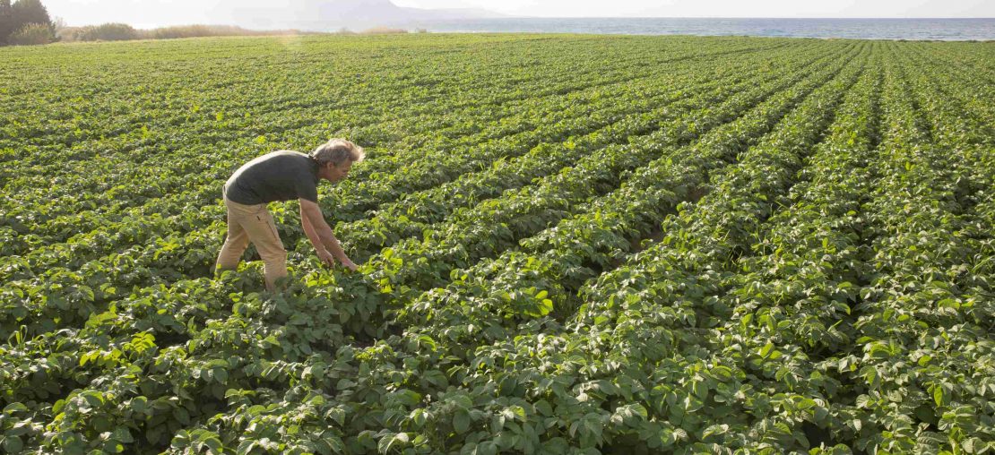 agricultura de precisão