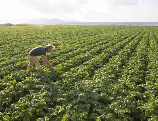 agricultura de precisão